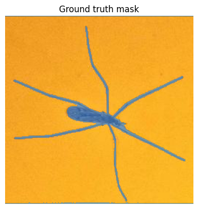 groundtruth